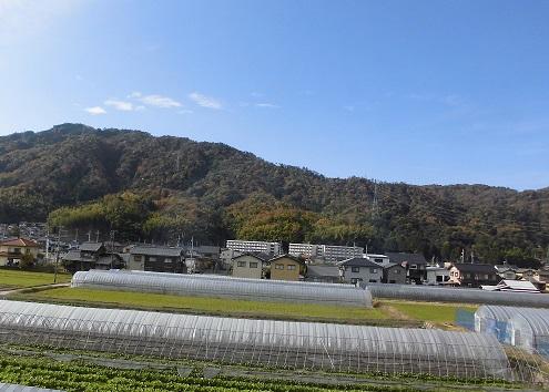 2014.11 .20 山.JPG